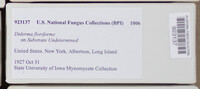 Diderma floriforme image